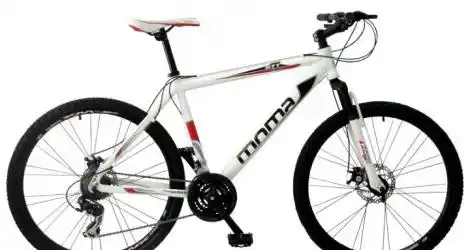 Buscan bicicleta robada y ofrecen recompensa
