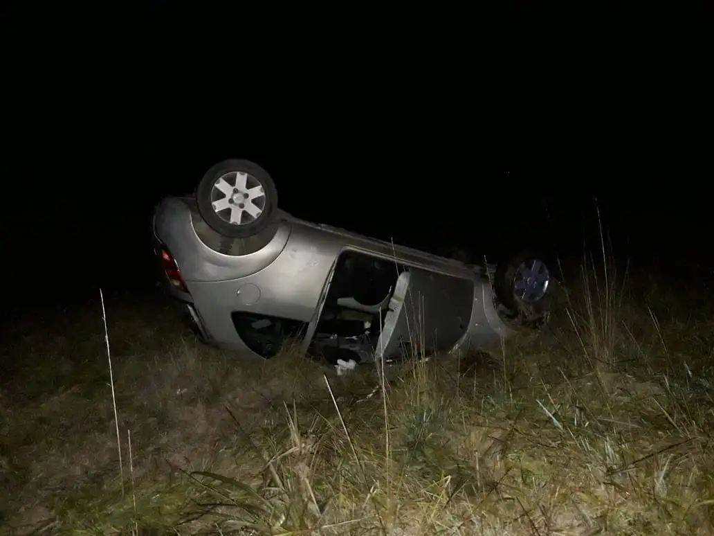 Una pareja de tandilenses sufrió un accidente en la Ruta 30 al chocar contra un carpincho