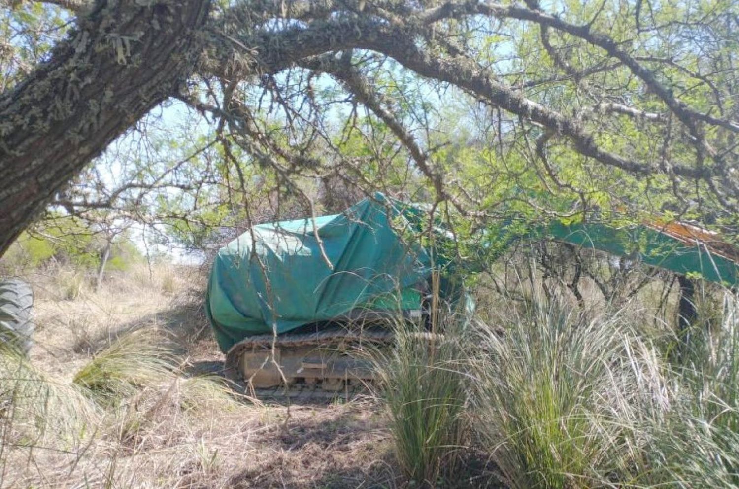 Justicia Federal: No se pueden usar maquinarias para alterar terrenos de islas