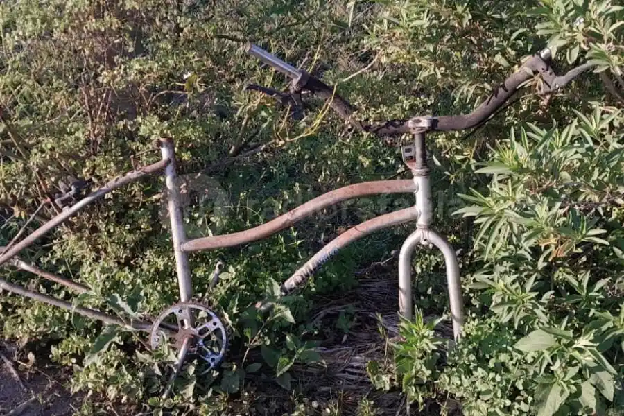 Escondida entre pastizales, apareció un cuadro de bicicleta