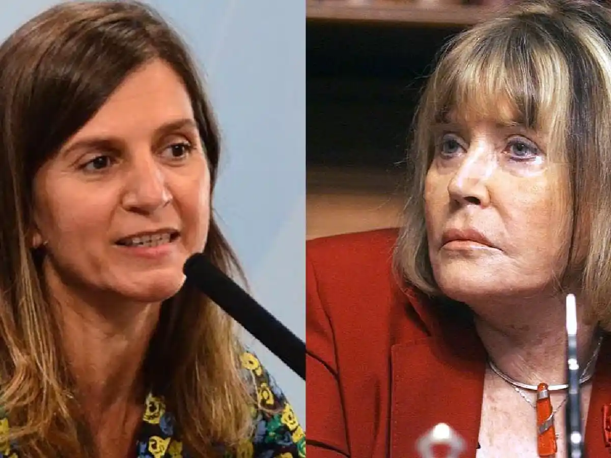 Embarazadas rusas: Anses aclaró que la organizadora de los viajes cobra una "asignación familiar"