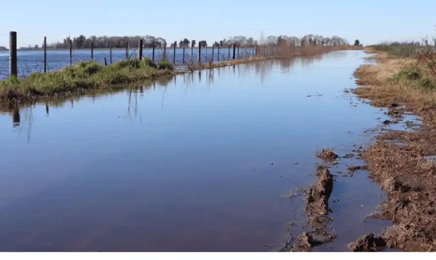 Campos inundados, una postal en el interior bonaerense