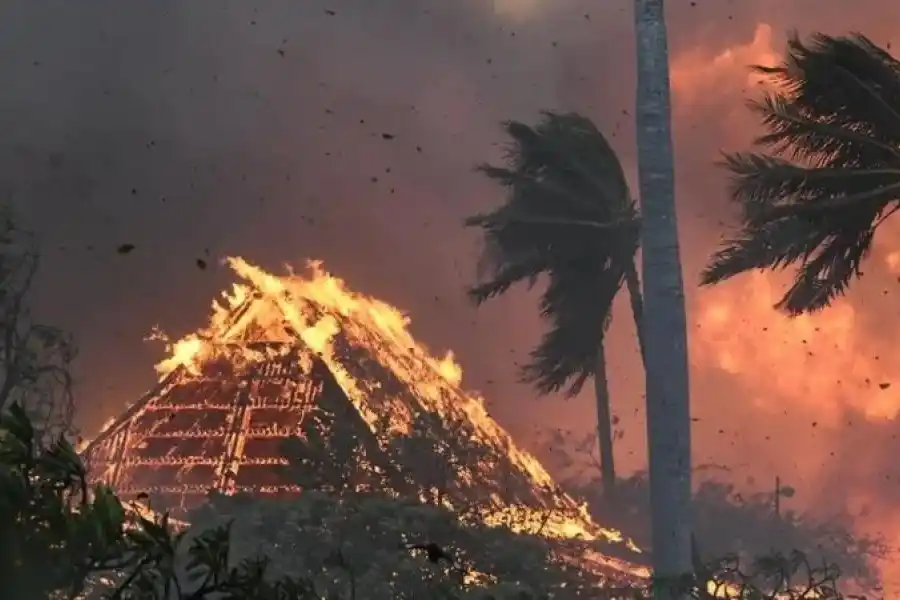 Más de 50 muertos por incendios forestales en Hawaii: Biden declaró "estado de emergencia"
