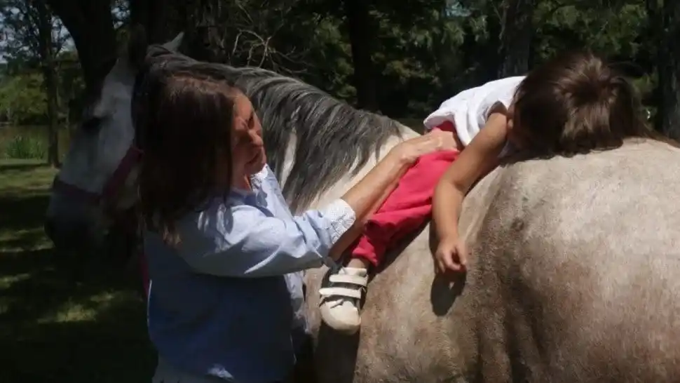 Diputados tratará en comisión tres proyectos sobre terapias asistidas con animales