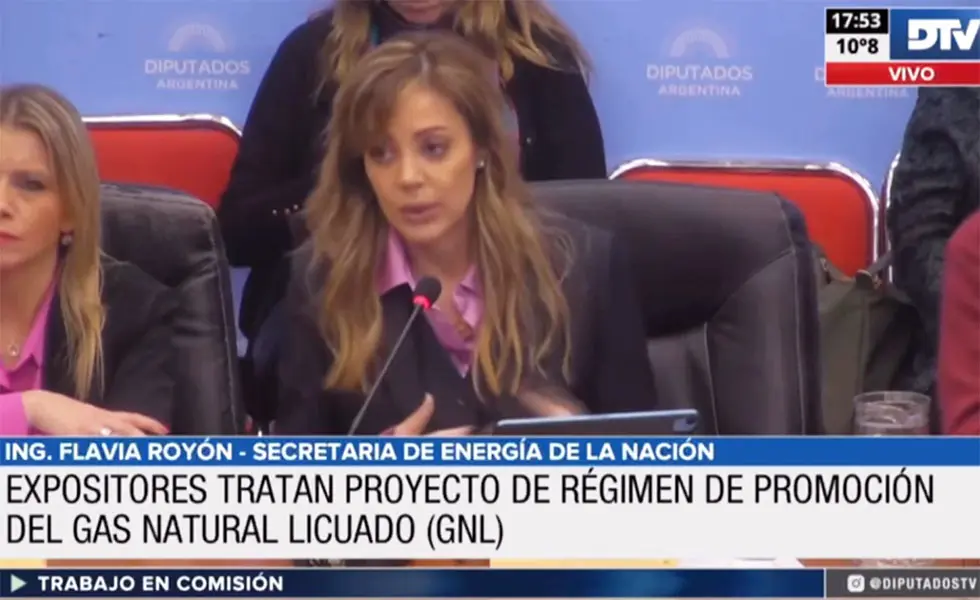 Royón sostuvo que el proyecto de Gas Natural Licuado «cambiaría la realidad productiva y económica de Argentina»