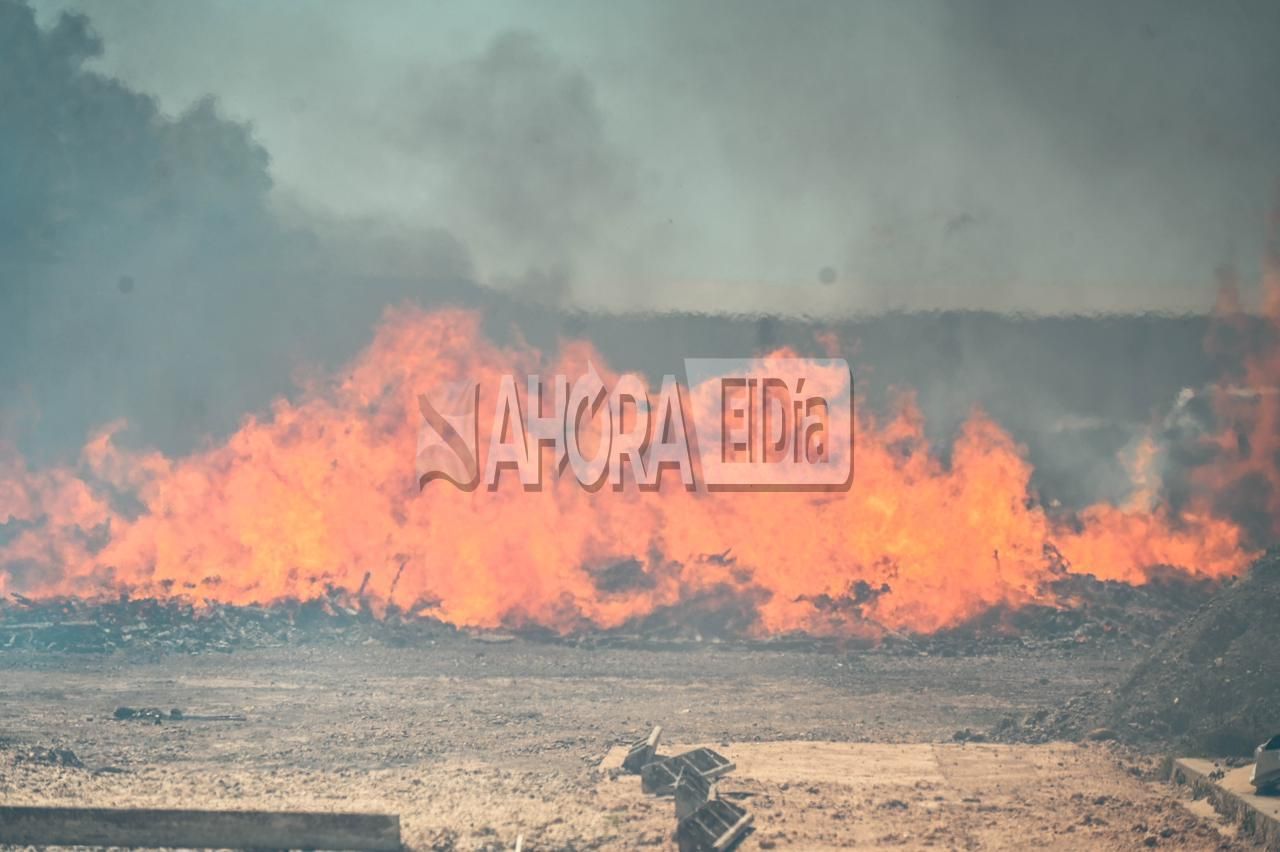 incendio pallets - 4