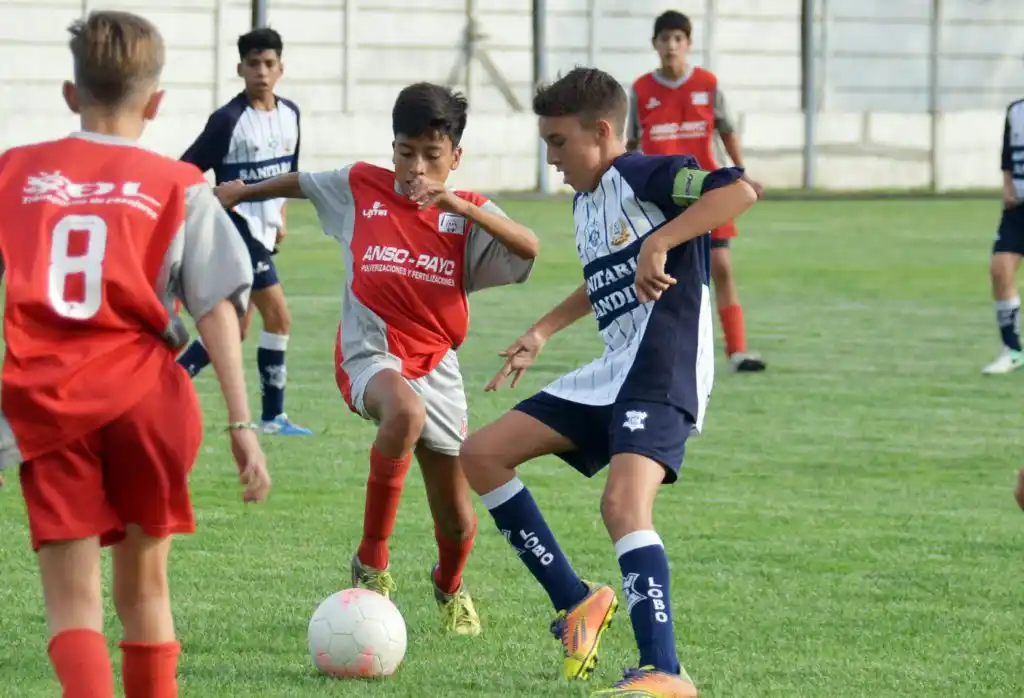 Hoy, semifinales y finales de las clases 2006 y 2008