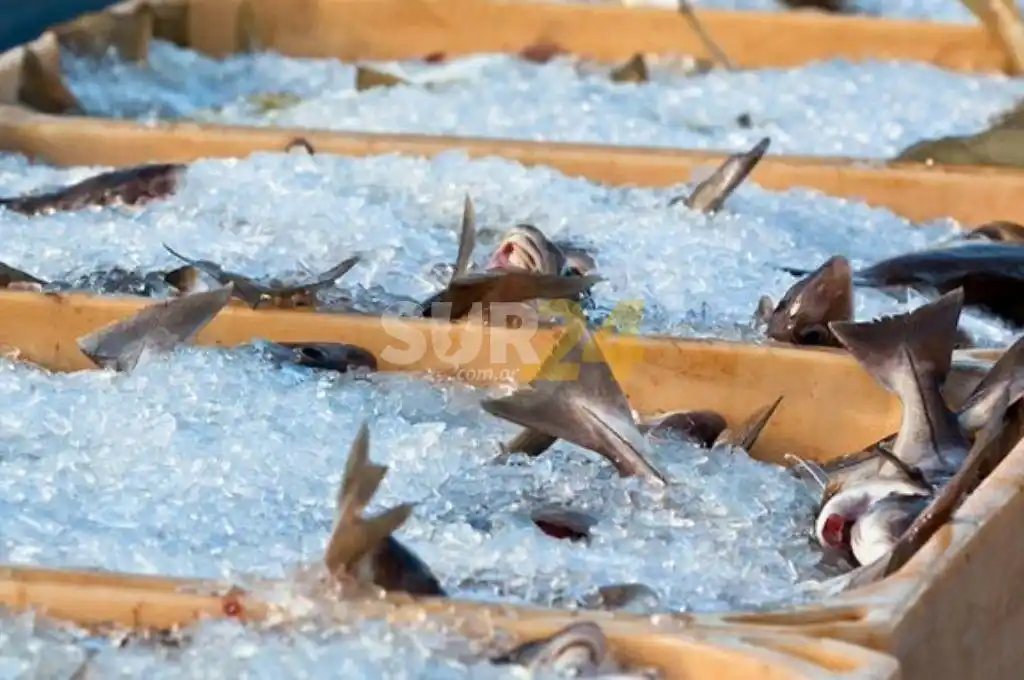 Pequeños productores realizarán un “pescadazo” frente al Congreso