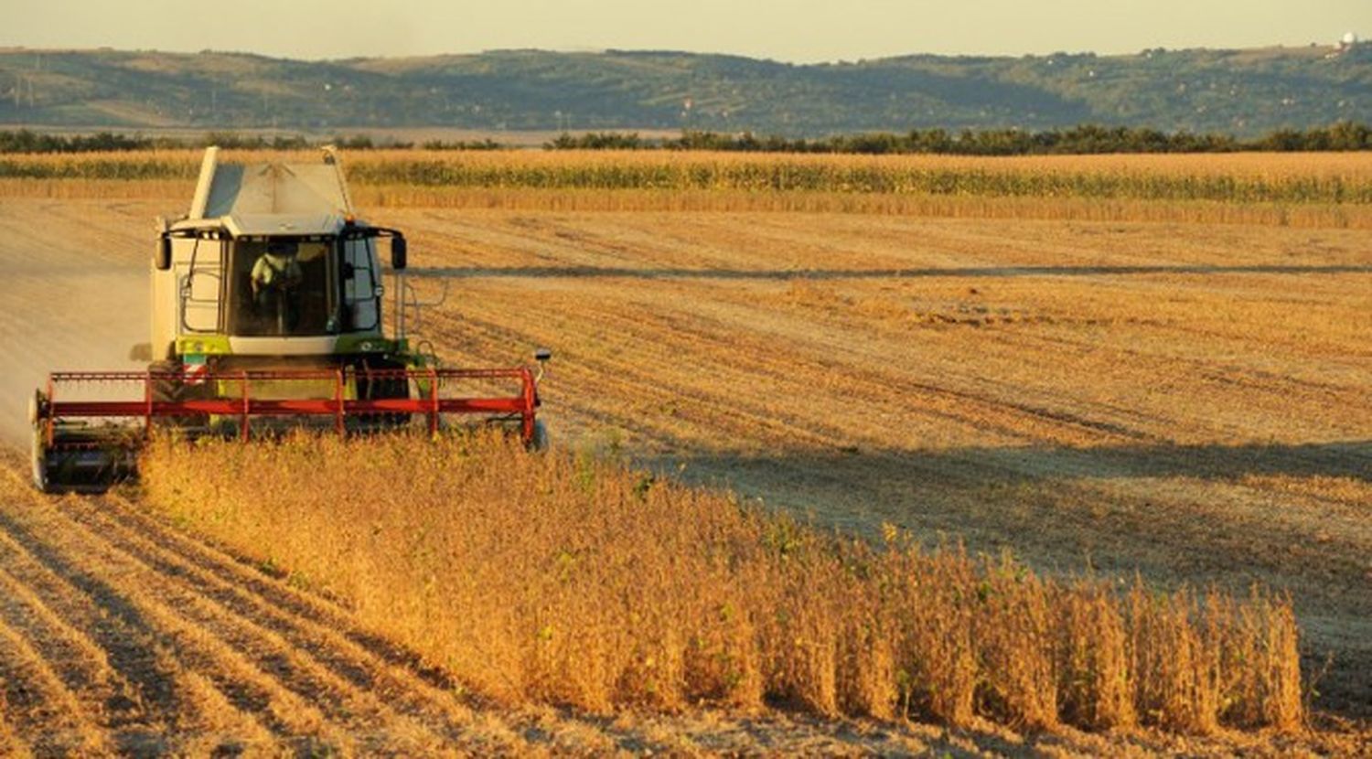 Según el Censo Agropecuario, en la provincia existen 626 hectáreas promedio por productor