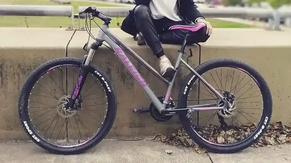 Esta bicicleta es la que se llevaron de un edificio de Mitre 2300, tras escalar una pared.
