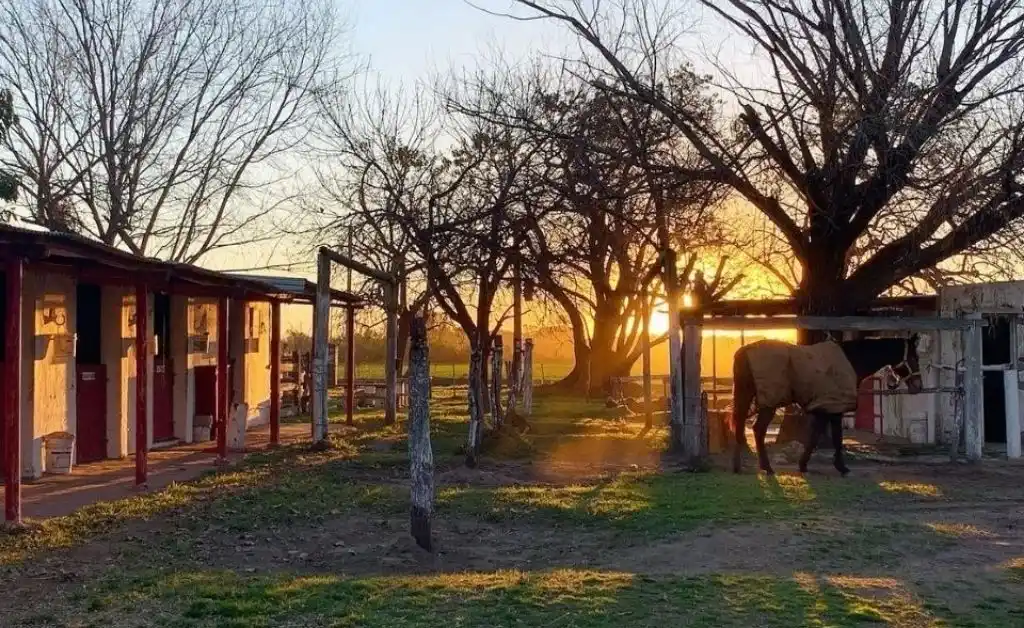 Delincuentes armados robaron en la Escuela Hípica de Monte Vera
