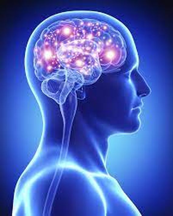 Seis simples tips para estimular tu cerebro