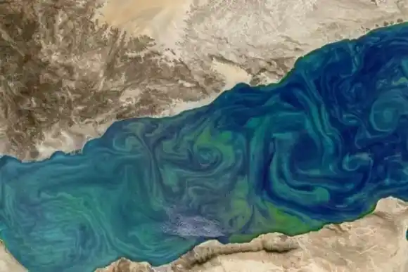 Imágenes satelitales revelan que el agua de los océanos está cambiando de color