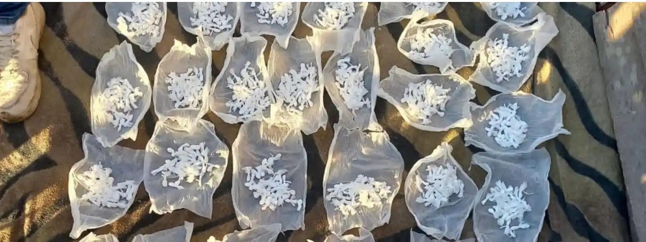 Roncaglia confirmó que hay “una decisión política de ir a fondo” en la lucha contra el narcotráfico