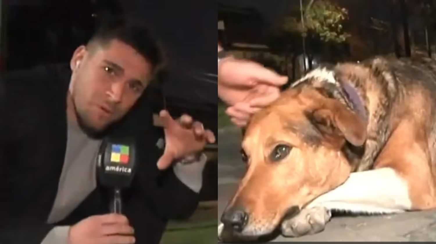 El periodista Gonzalo Sorbo junto a Bruno en Valentín Alsina.