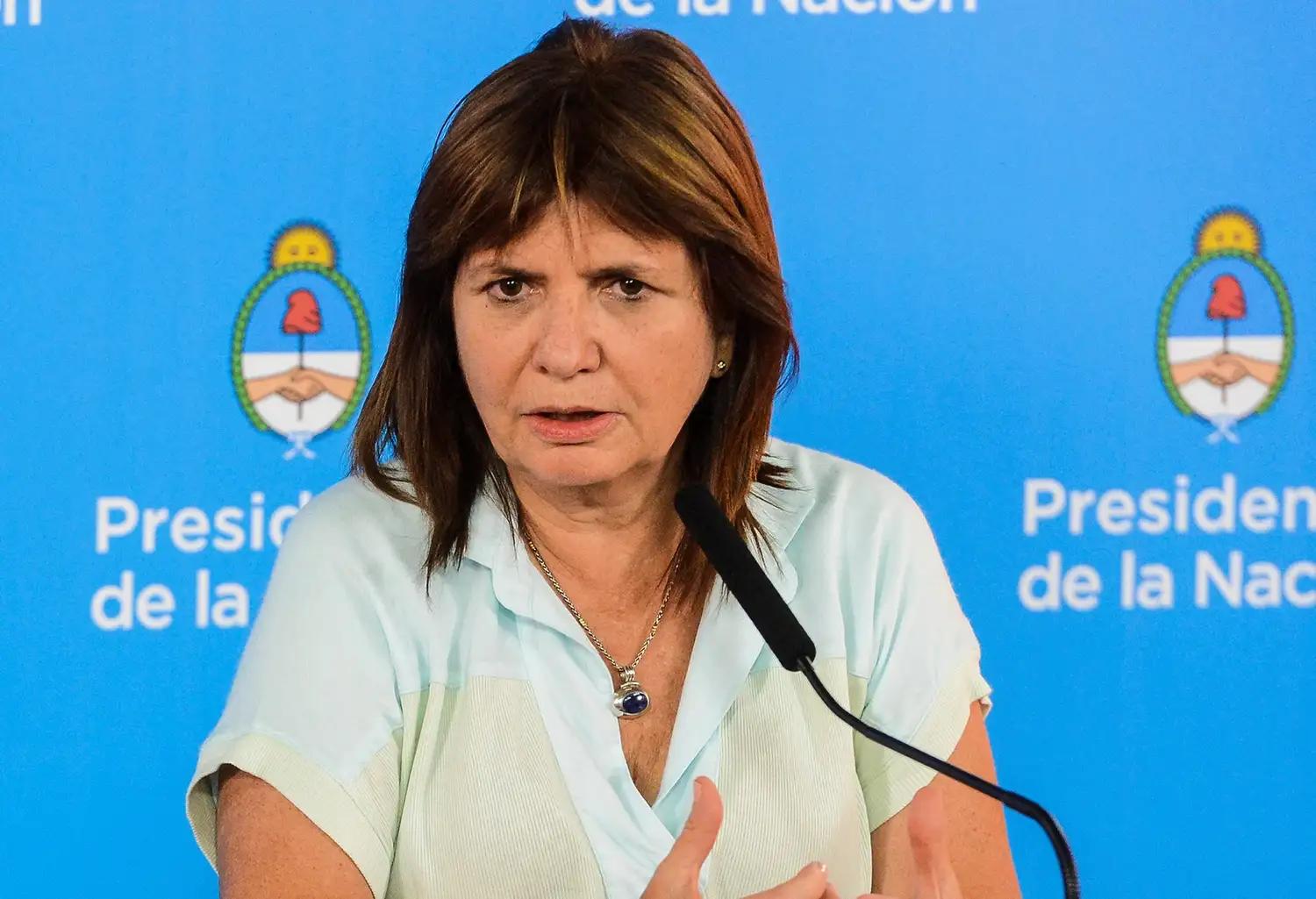 Bullrich determinó restringir el sistema de visitas a los líderes de “Los Monos”