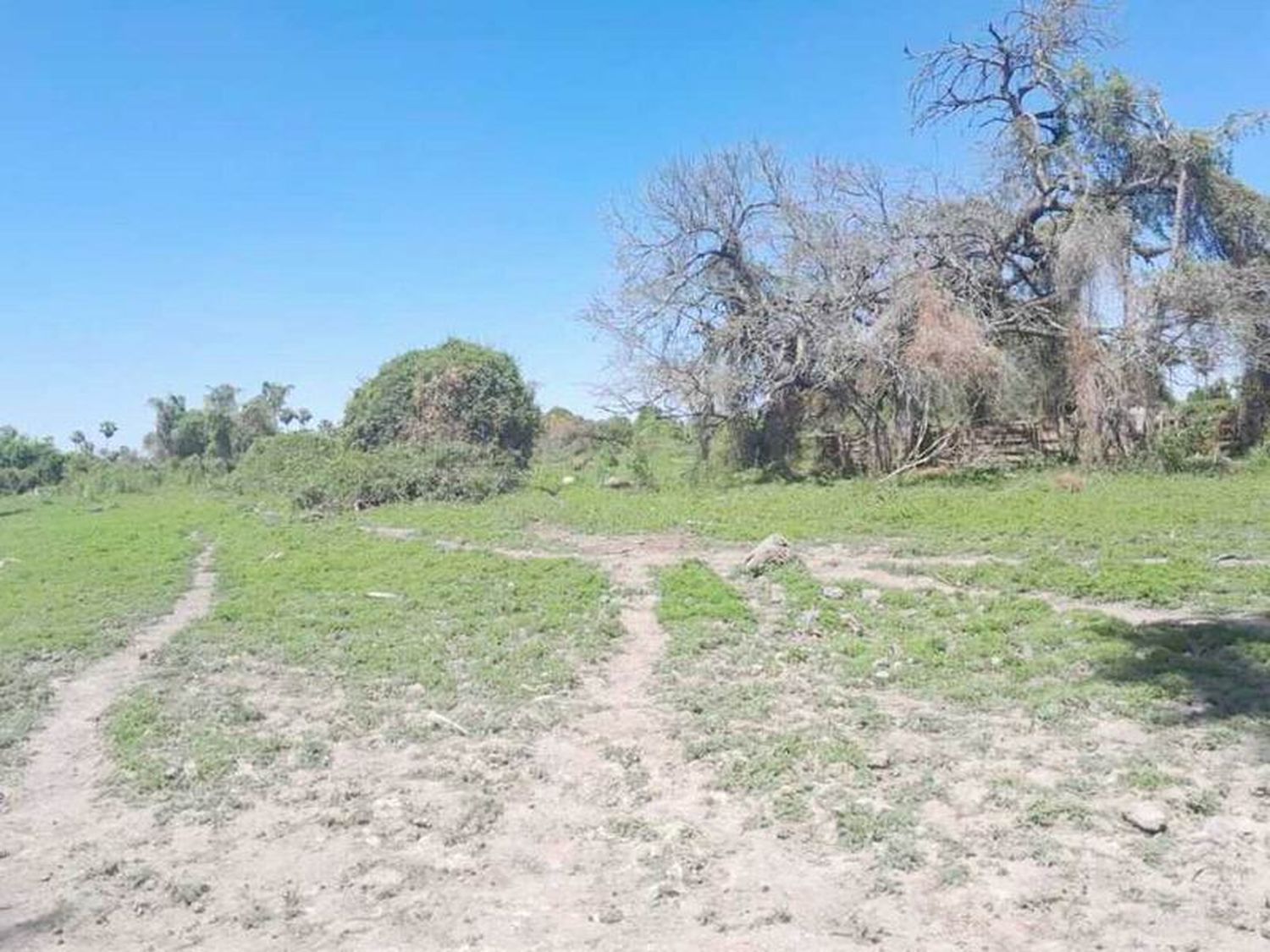 Bay explicó cómo trabaja la provincia en 
el manejo irregular de los recursos naturales