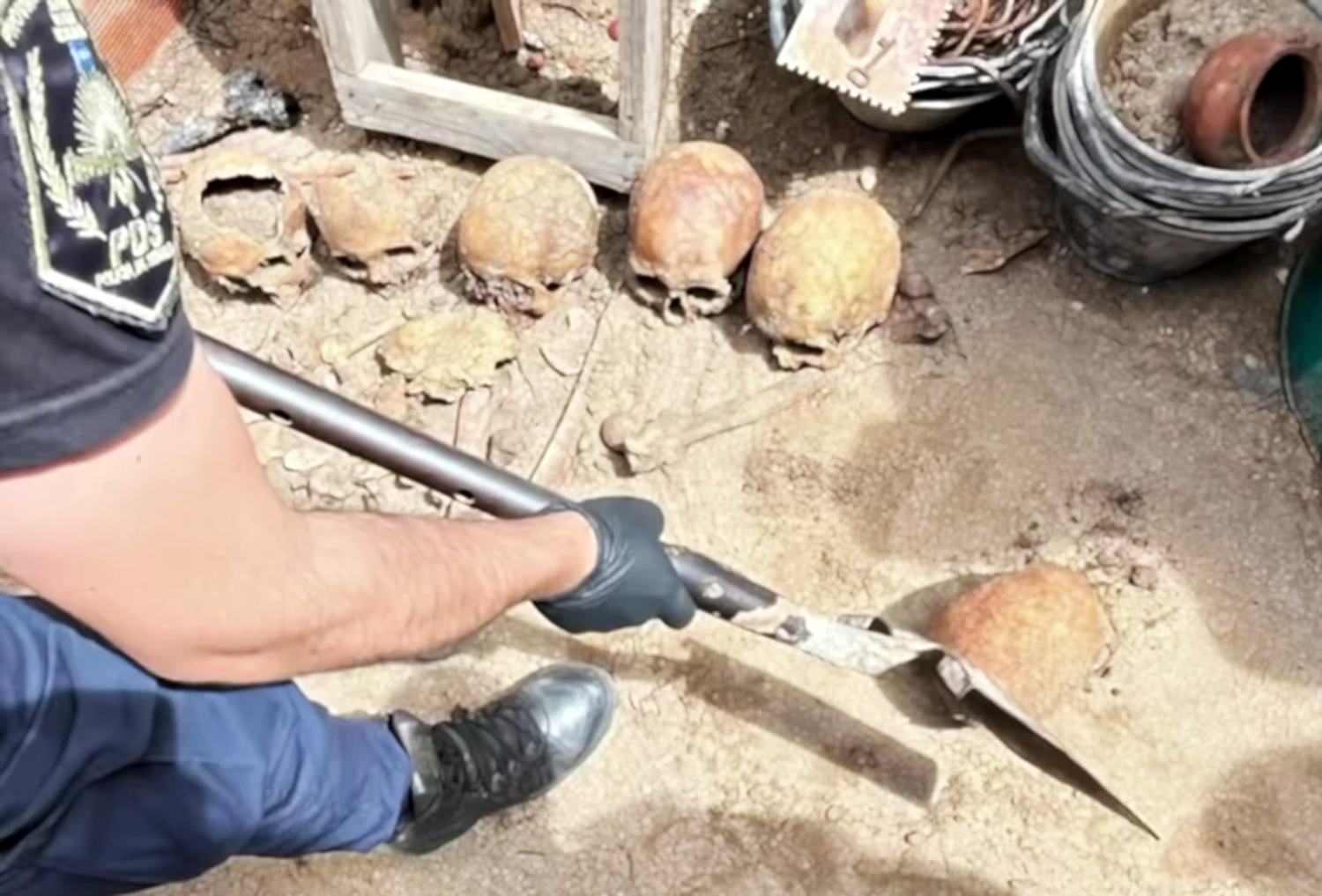 Macabro hallazgo en Ostende: aparecieron doce cráneos y restos óseos en el patio de una casa