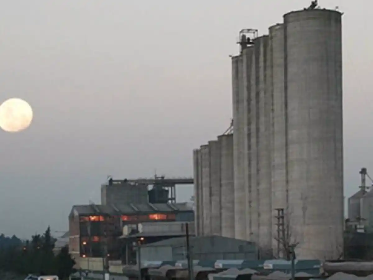 Banco Macro pidió la quiebra de Molino Cañuelas