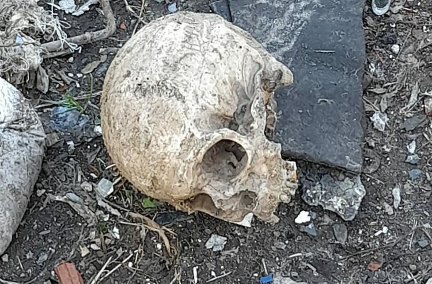 Hallan un cráneo humano en un basural de Mar del Plata