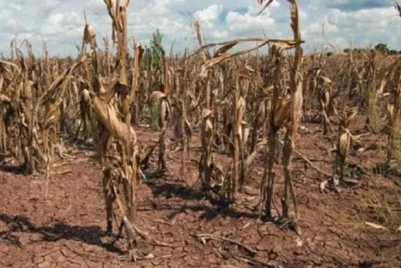 Inminencia de "La Niña" 2025: cómo podría afectar este fenómeno climático
