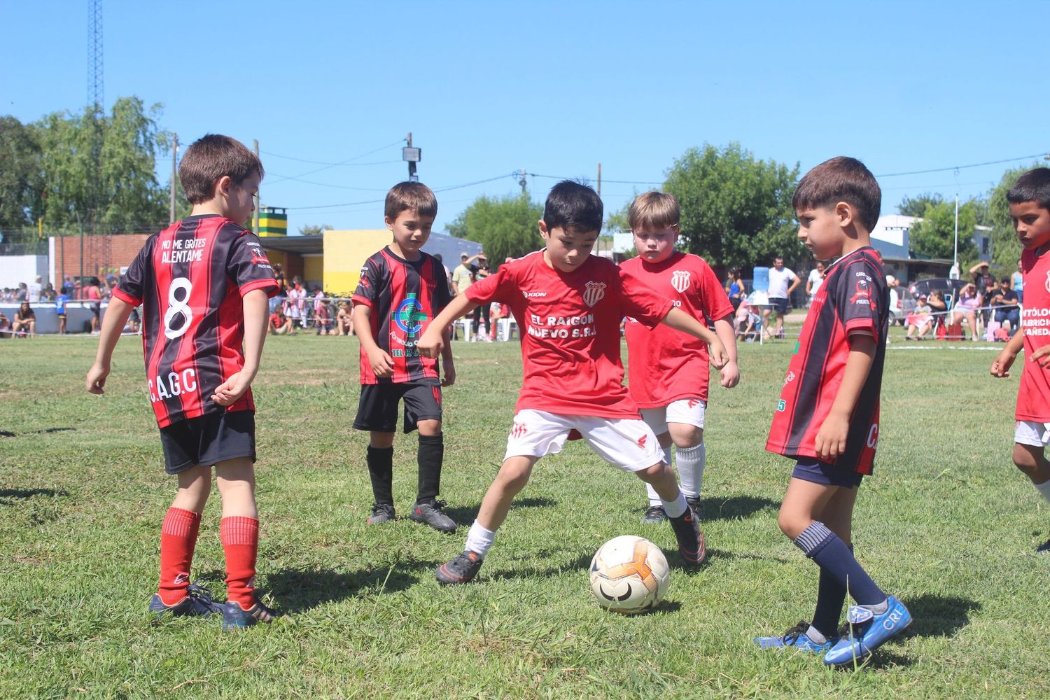 Hoy domingo finaliza el certamen de fútbol infantil en el Club Atlético Urquiza.