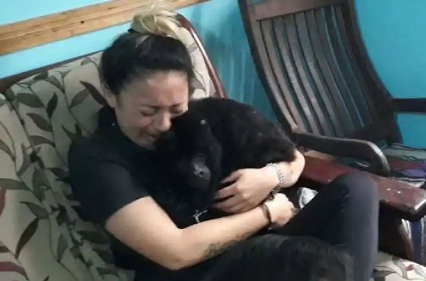 Rescataron al mono que tenían de mascota tras un allanamiento