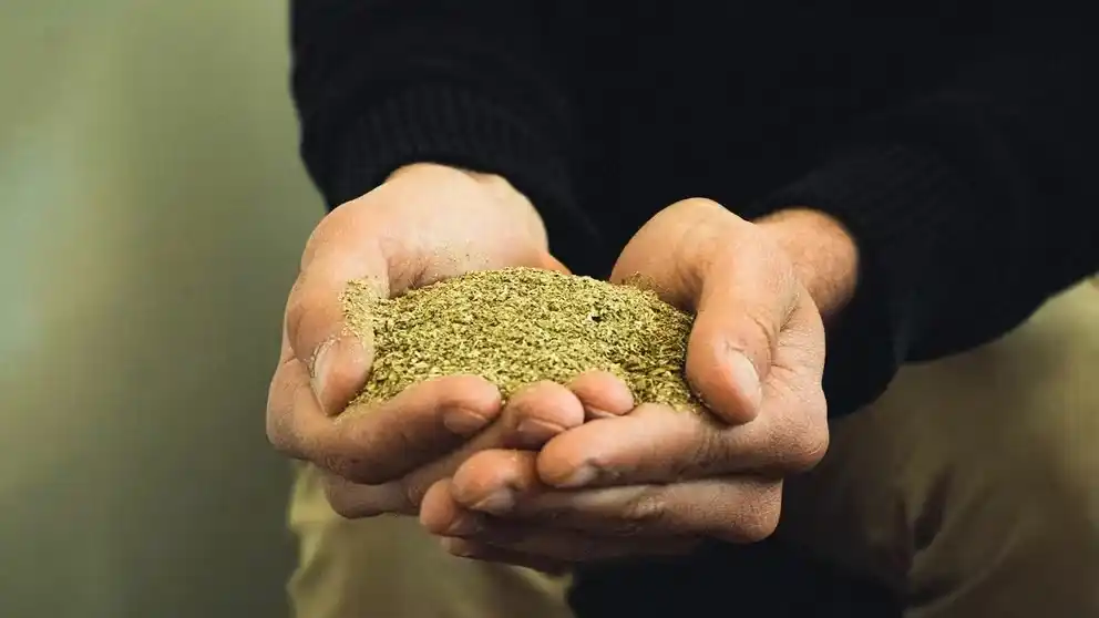 Conflicto detrás de la cautelar que suspendió un capítulo del DNU de Milei