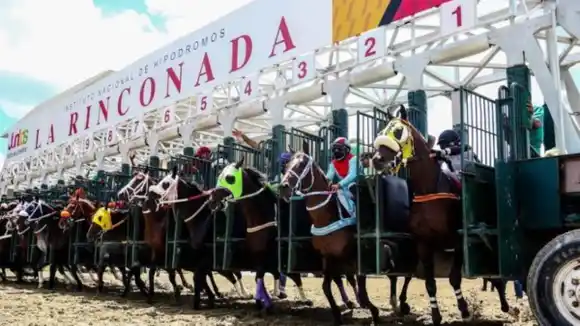 Venezuela será la sede de la Serie Hípica del Caribe en 2024