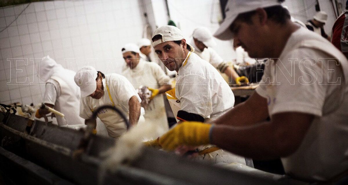 Puerto: empieza esta semana el reempadronamiento de 5 mil trabajadores