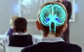 La Neuroeducación. (Continuación).