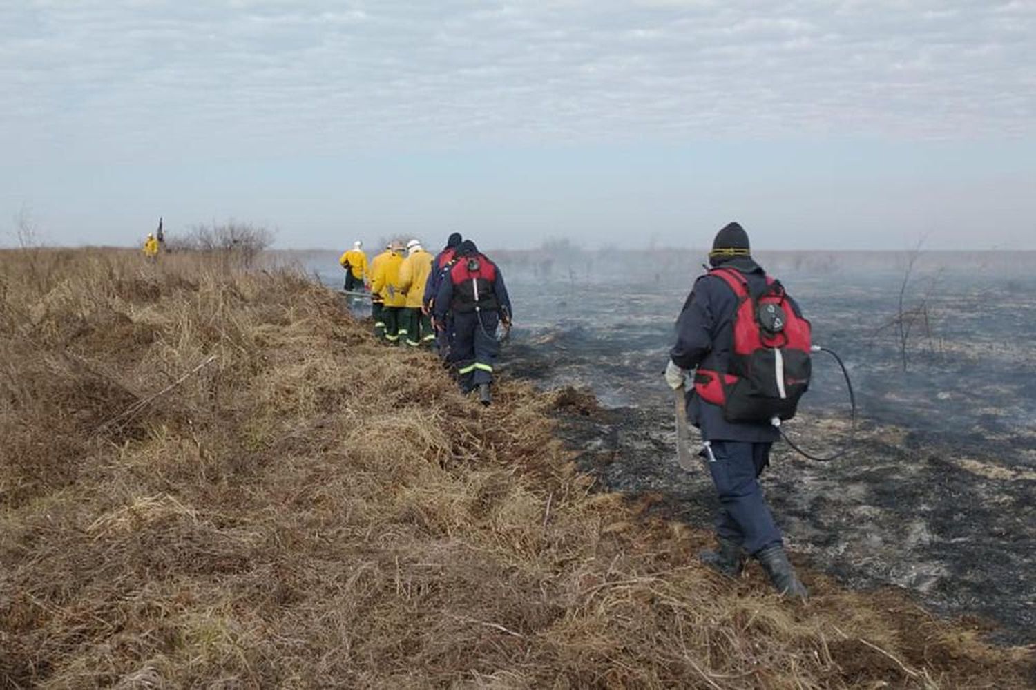 Incendios en islas: controlaron foco de Villa Constitución