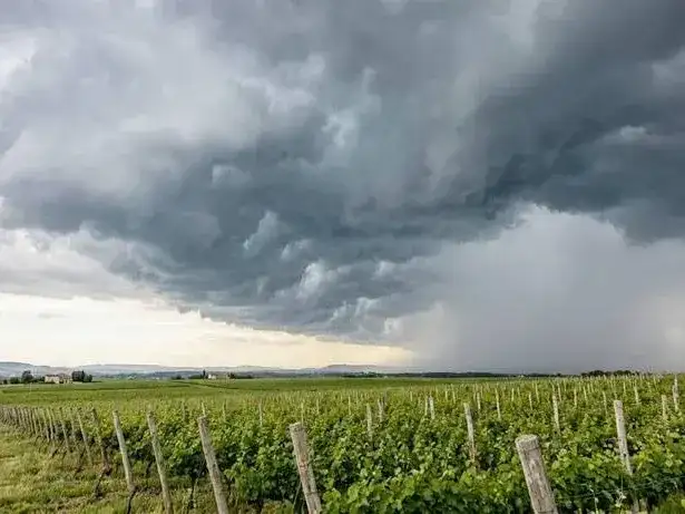 Formosa avanza en una plataforma para 
prever áreas rurales afectadas por El Niño