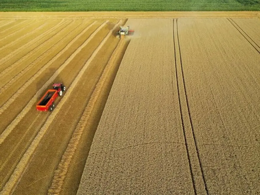 El 2025 cerró con un “salto de optimismo” entre los productores agropecuarios