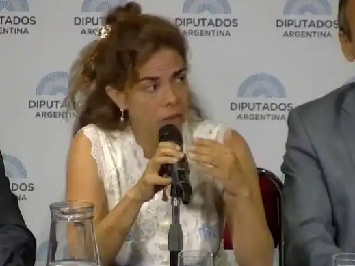 Compendio de la exposición científica sobre Covid y vacunación en Diputados