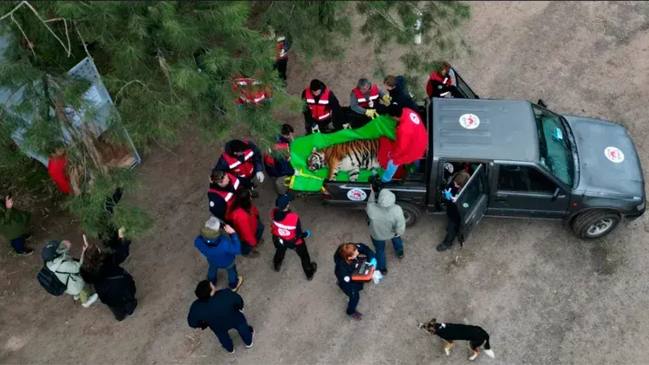 El Zoo fue clausurado en febrero de 2020 tras denuncias por maltrato.