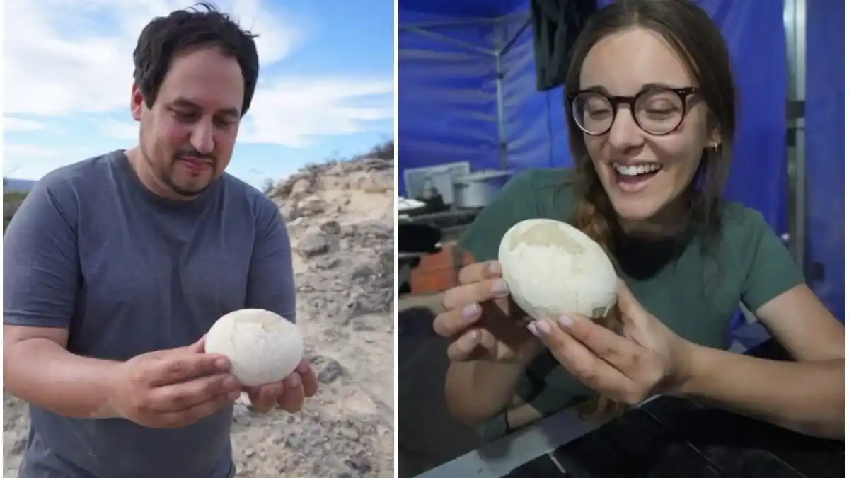 Histórico hallazgo en Patagonia: científicos del Conicet encontraron un huevo de dinosaurio