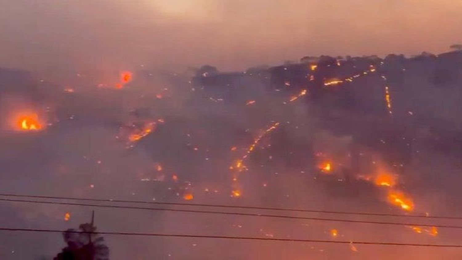 Miles de evacuados por incendios en zonas turísticas de Grecia y Turquía