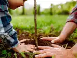Conciencia ambiental en argentina: reflexion sobre cómo habitar el planeta