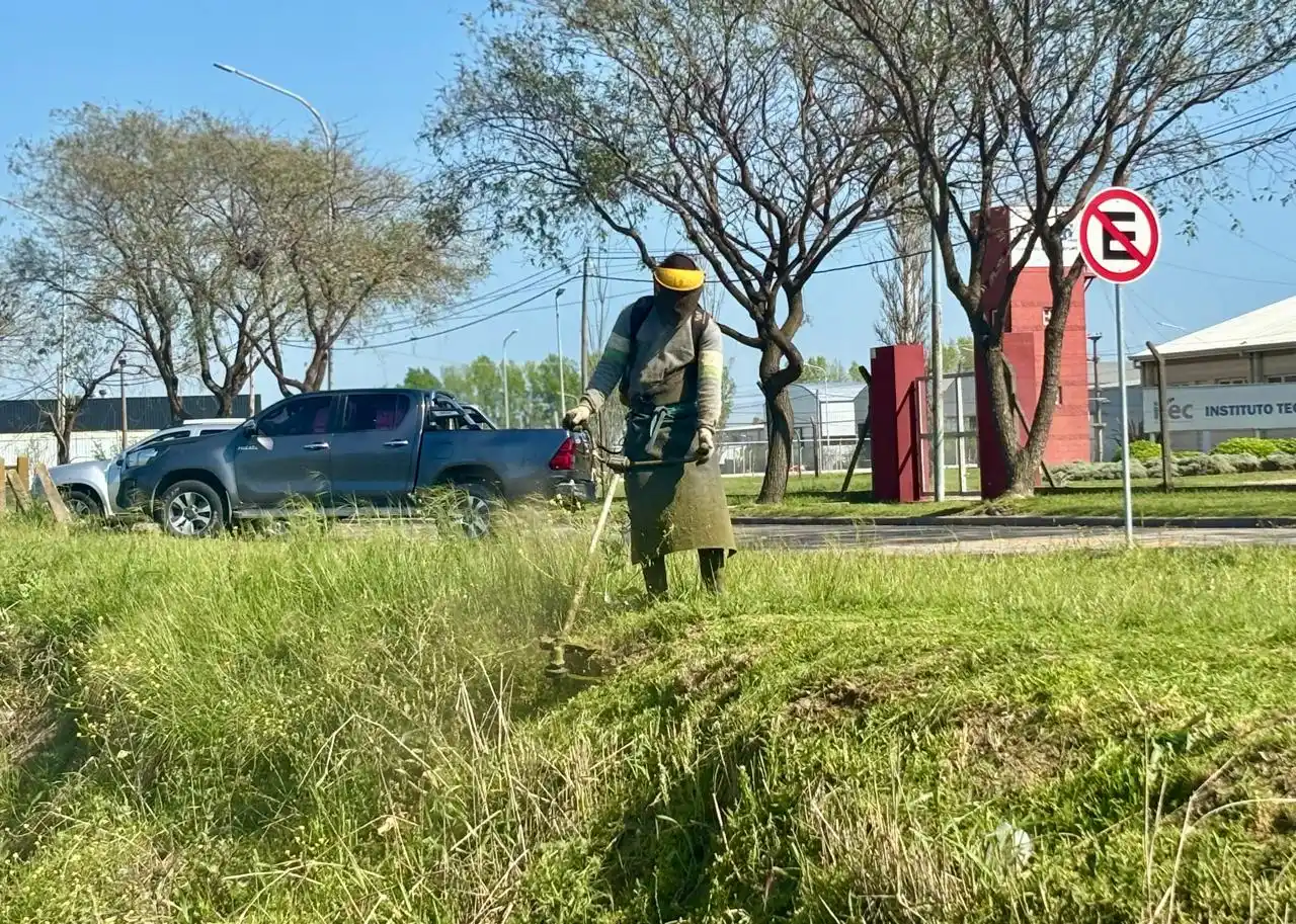 Se intensifican los operativos de desmalezado en la ciudad