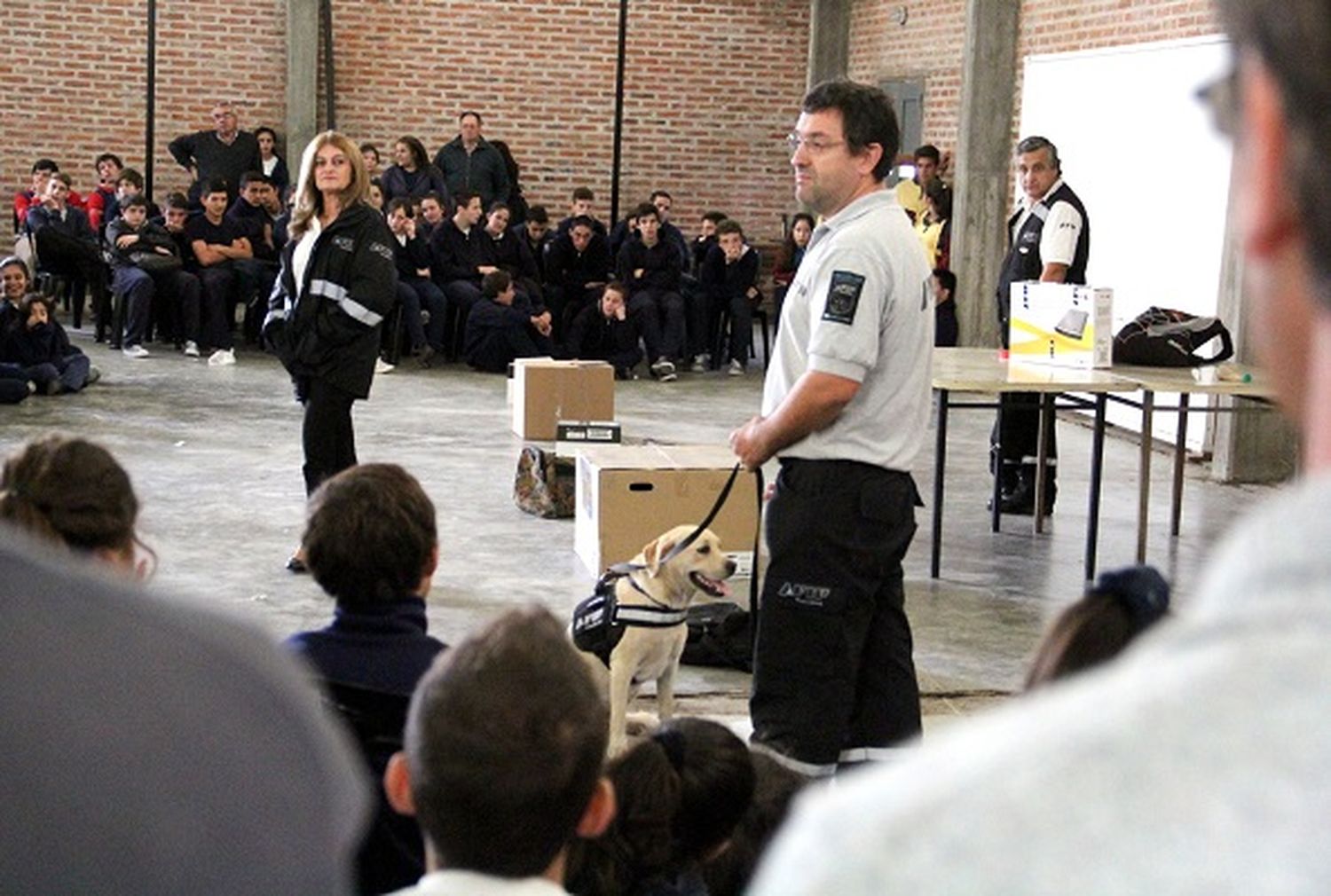 La AFIP y el trabajo de sus perros: “No se droga a los animales, eso es un mito”
