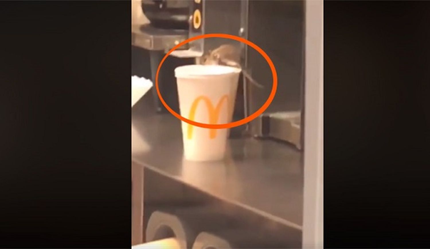 Clausuraron un McDonalds por presencia de cucarachas y ratas