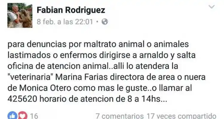Una veterinaria para castrar gratuitamente a las mascotas