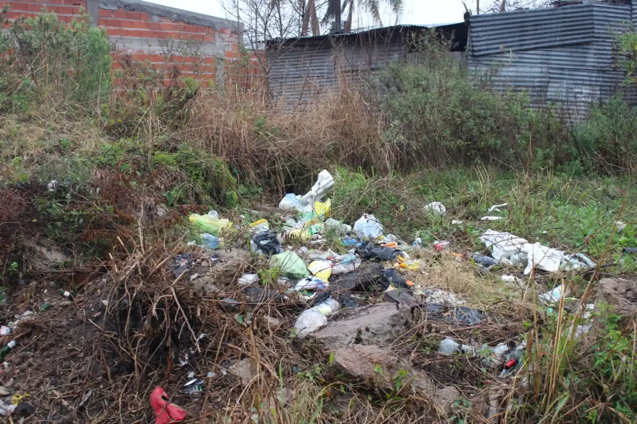 Vecinos del barrio Vicoer reclamaron por la presencia de ratas en un terreno abandonado