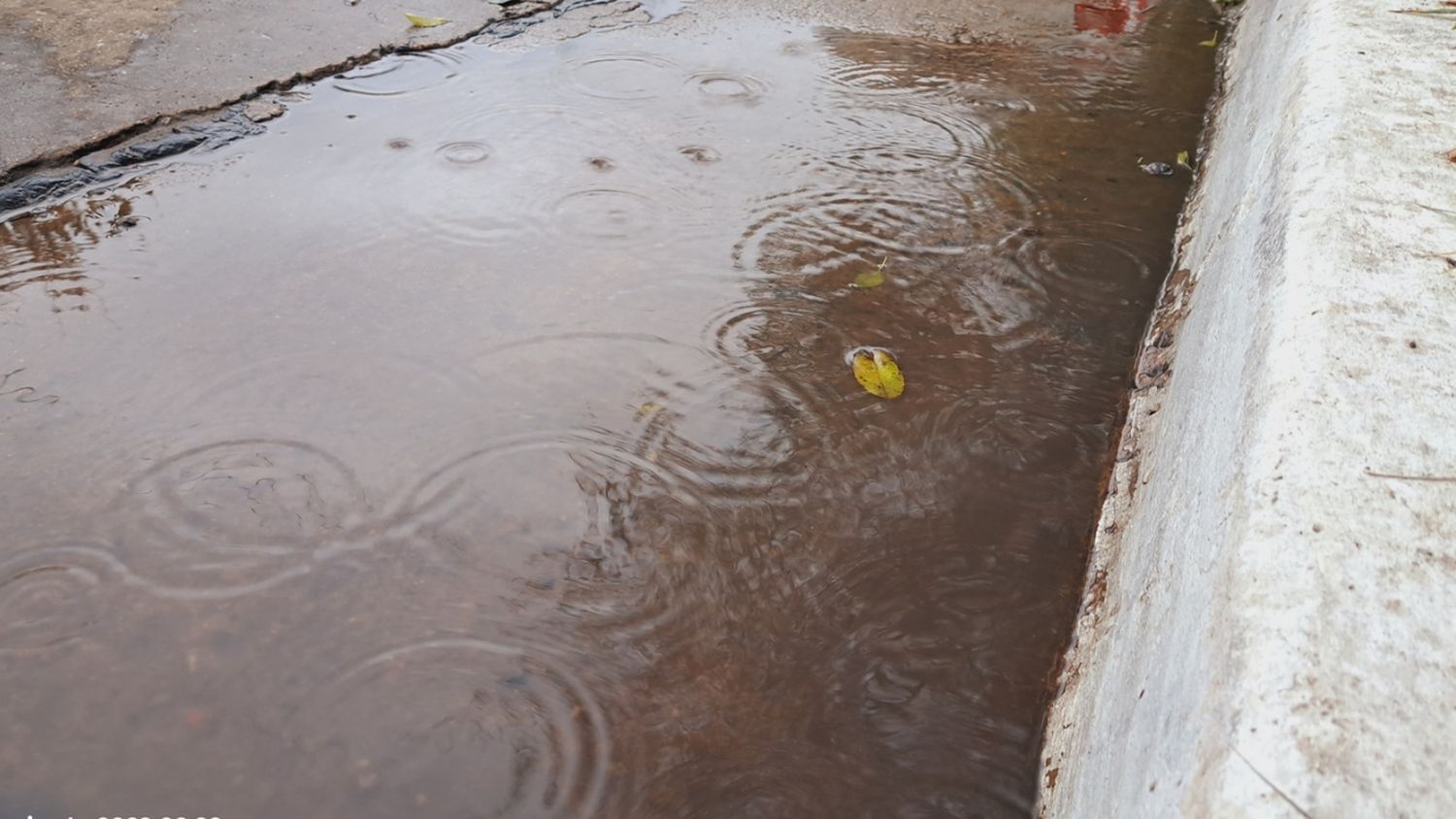 Llegó la lluvia a la región 