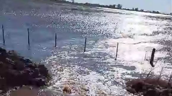 Llega Santa Rosa: fin de semana con lluvias y tormentas en gran parte de la provincia