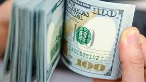 El dólar blue subió $1 y terminó la semana en $239