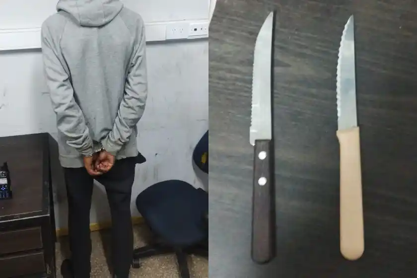 Detenido en zona norte.