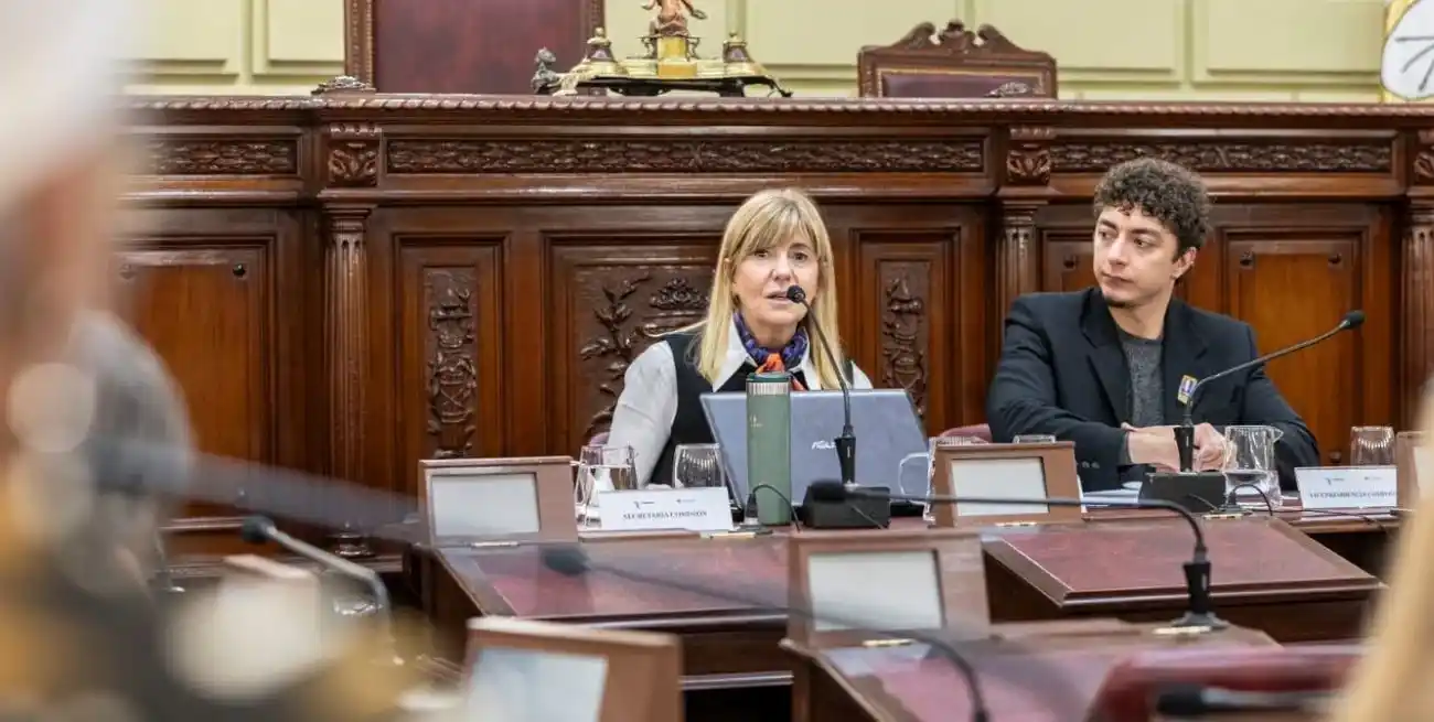 Rodenas: “La reforma constitucional de Santa Fe tiene voz ciudadana”