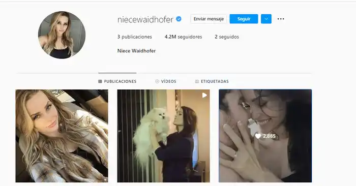 Así quedó el perfil de Niece Waidhofer, luego de que la modelo borrara casi todas sus publicaciones. Foto Instagram